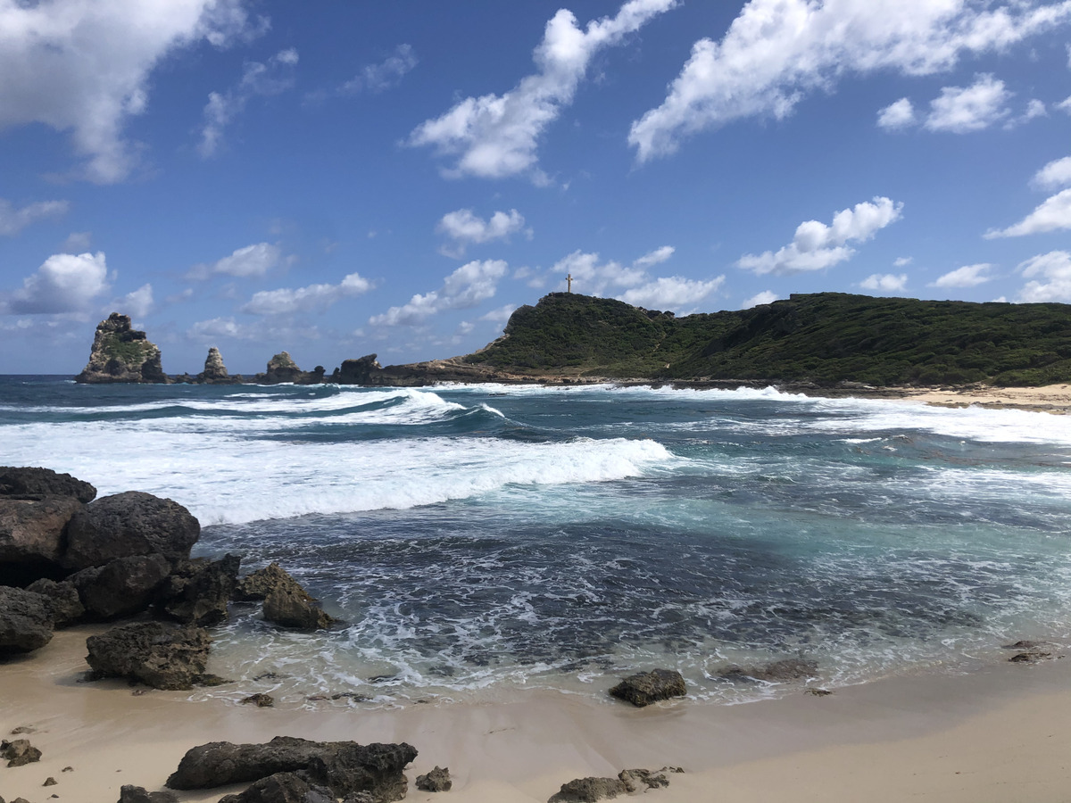 รูปถ่าย กวาเดอลูป(Guadeloupe) แหลมคาสเซิลพอยต์(Castle Point) 2021-02 355