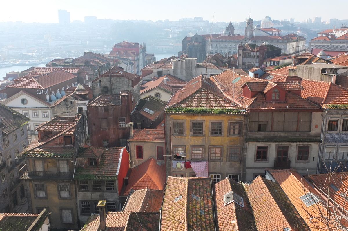รูปถ่าย โปรตุเกส(Portugal) ปอร์โต(Porto) 2013-01 196