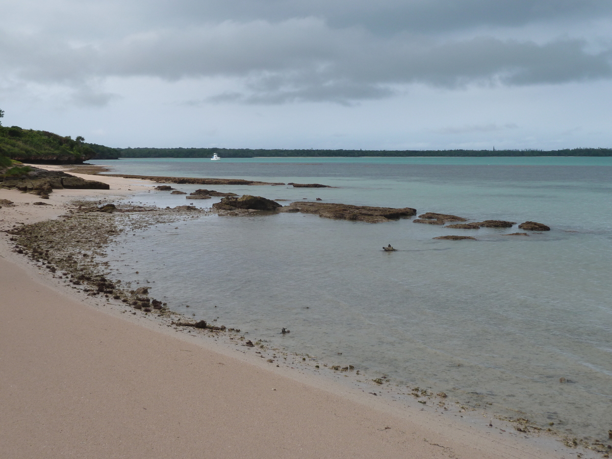 รูปถ่าย นิวแคลิโดเนีย(New Caledonia) เกาะต้นสน(Ile des pins) 2010-05 16