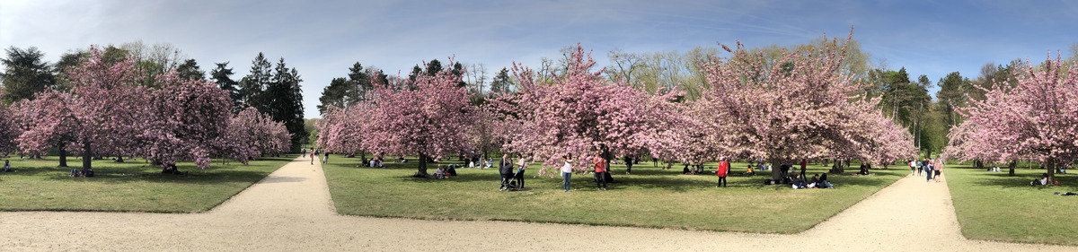 รูปถ่าย ฝรั่งเศส(France) สวนโซ(Parc de Sceaux) 2019-04 69