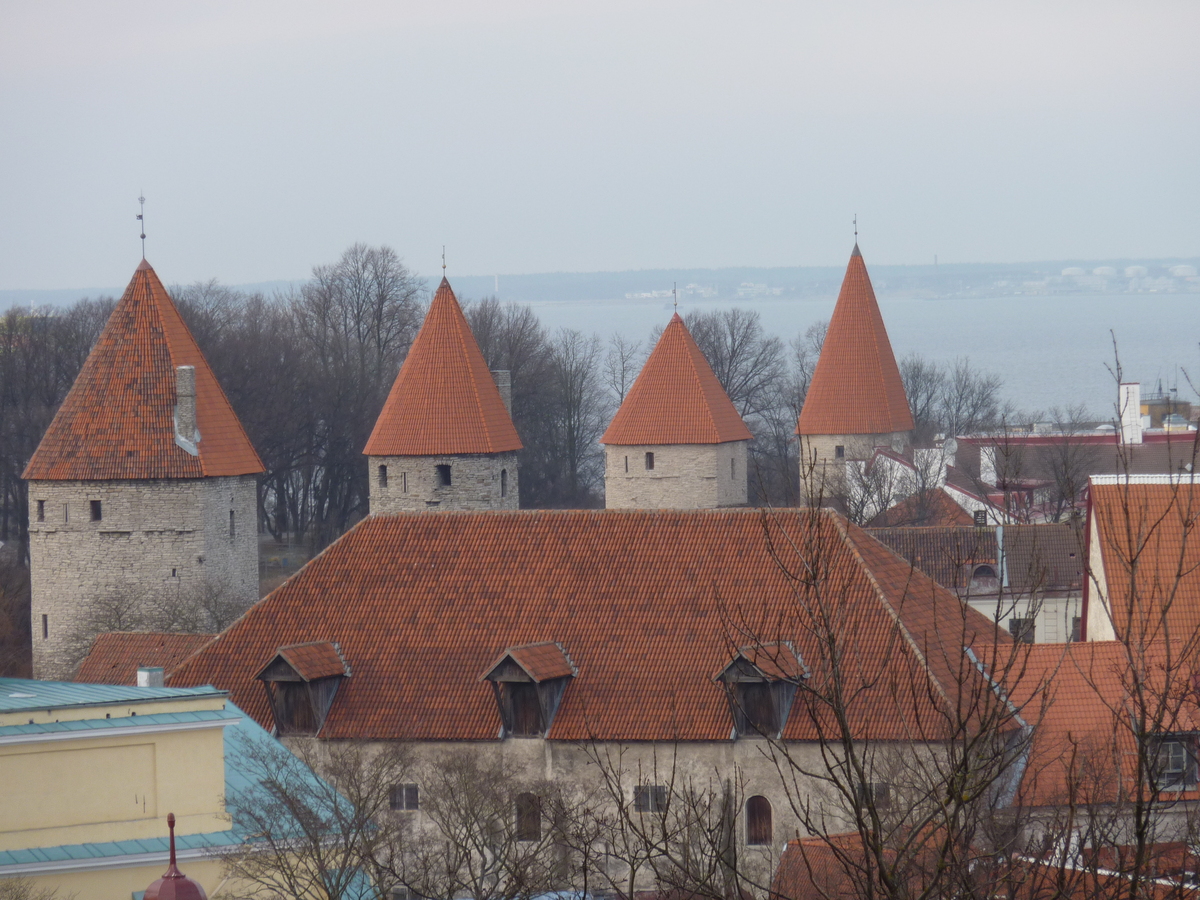 รูปถ่าย เอสโตเนีย(Estonia) ทาลลินน์(Tallinn) เมืองเก่าทาลลินน์(Old Tallinn) 2009-04 60