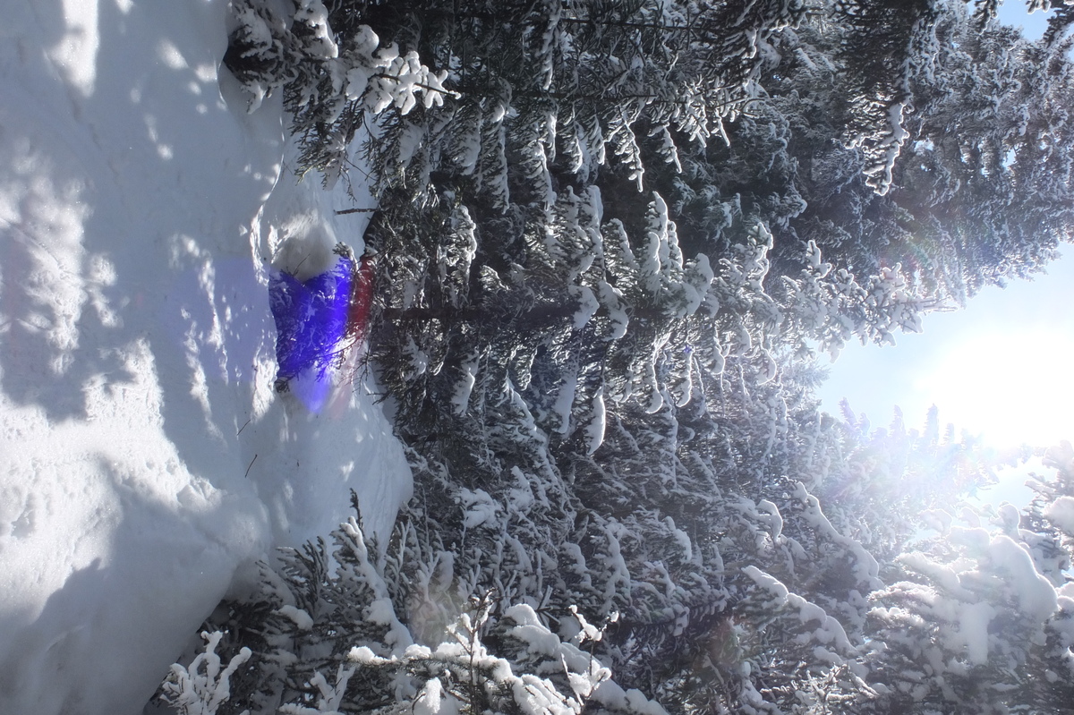 รูปถ่าย ฝรั่งเศส(France) เลทรัววาเล(Les 3 Vallees) 2013-03 149