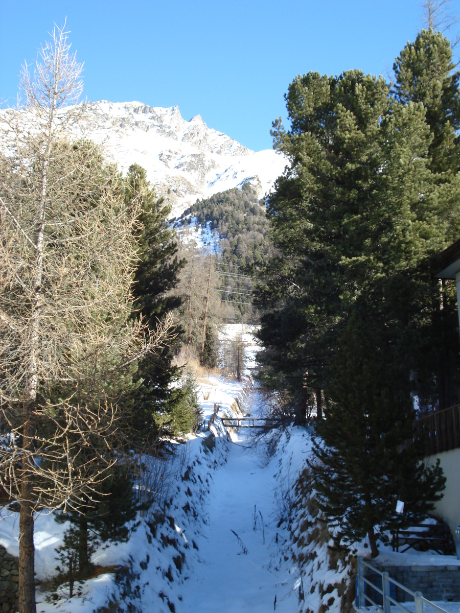 รูปถ่าย สวิสเซอร์แลนด์(Switzerland) ปองเทรซีน่า(Pontresina) 2007-01 78