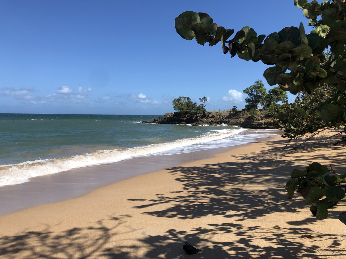 รูปถ่าย กวาเดอลูป(Guadeloupe) แซ็นต์โรส(Sainte Rose) 2021-02 3