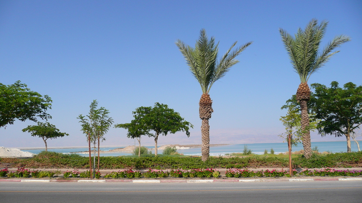 รูปถ่าย อิสราเอล(Israel) อึนโบเกก(Boqeq) 2007-06 0