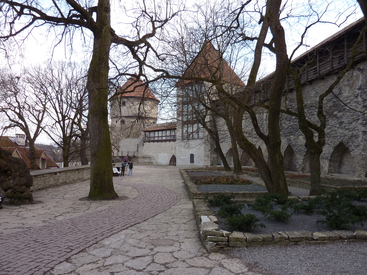 รูปถ่าย เอสโตเนีย(Estonia) ทาลลินน์(Tallinn) เมืองเก่าทาลลินน์(Old Tallinn) 2009-04 2