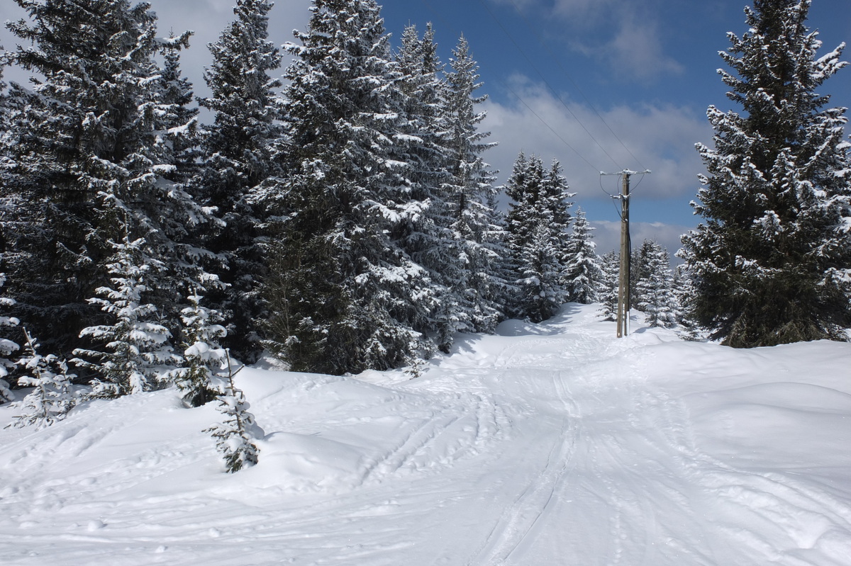รูปถ่าย ฝรั่งเศส(France) เลทรัววาเล(Les 3 Vallees) 2013-03 154
