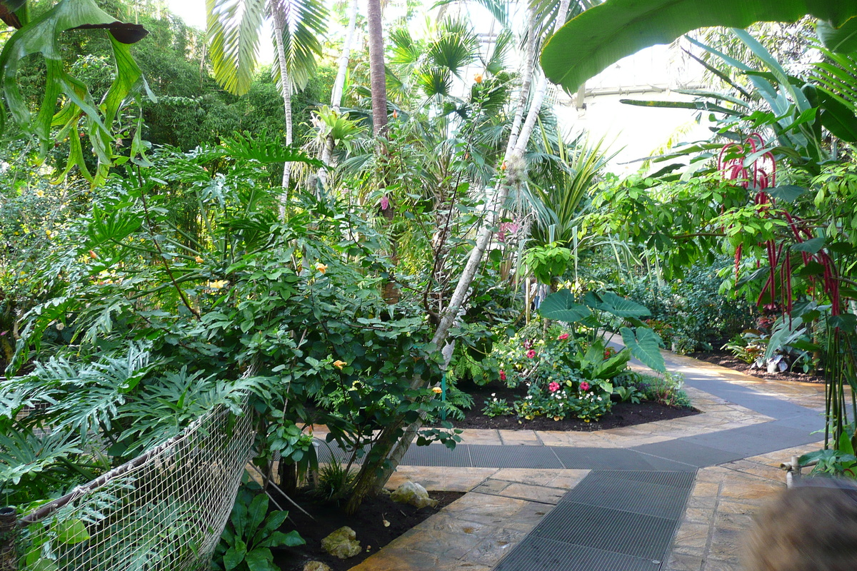 รูปถ่าย ฝรั่งเศส(France) นีส(Nice) สวนฟีนิกซ์(Phoenix Parc) 2007-10 104