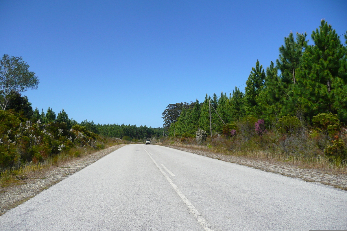 รูปถ่าย แอฟริกาใต้(South Africa) ถนนจากไนส์นาไปพอร์ตเอลิซาเบธ(Knysna to Port Elizabeth road) 2008-09 17