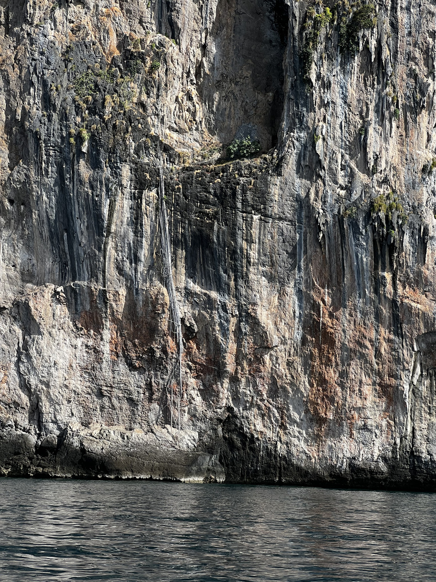 รูปถ่าย ไทย(Thailand) เกาะพีพีเล(Ko Phi Phi Ley) 2021-12 139