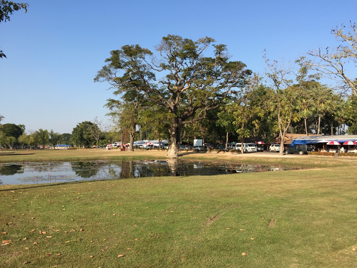 รูปถ่าย ไทย(Thailand) สุโขทัย(Sukhothai) 2014-12 39