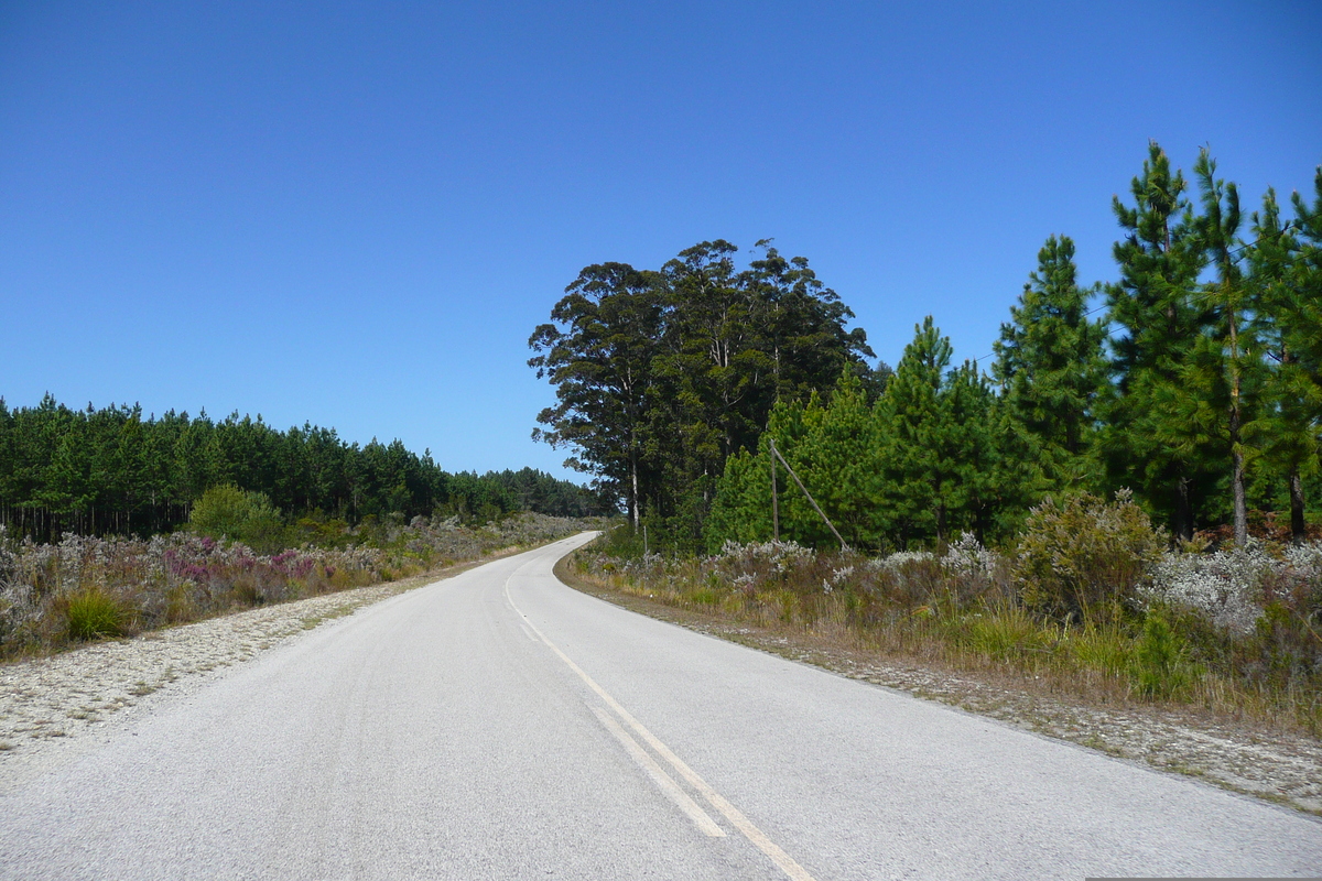 รูปถ่าย แอฟริกาใต้(South Africa) ถนนจากไนส์นาไปพอร์ตเอลิซาเบธ(Knysna to Port Elizabeth road) 2008-09 24