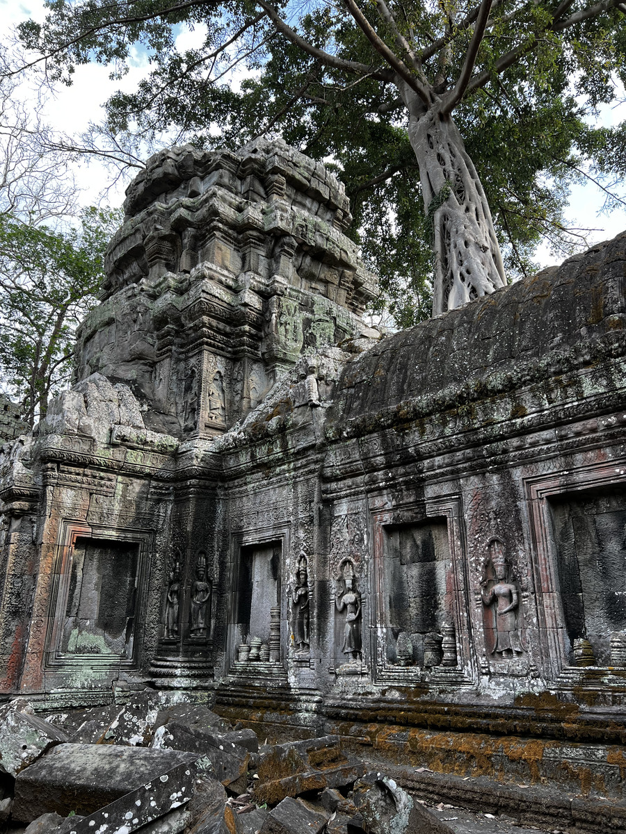 รูปถ่าย กัมพูชา(Cambodia) เสียมราฐ(Siem Reap) ปราสาทตาพรหม(Ta Prohm) 2023-01 153
