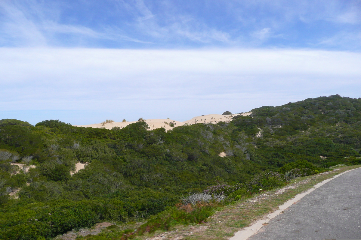รูปถ่าย แอฟริกาใต้(South Africa) ถนนจากเฮอร์มานัสไปไนส์นา(Harmanus to Knysna road) 2008-09 67