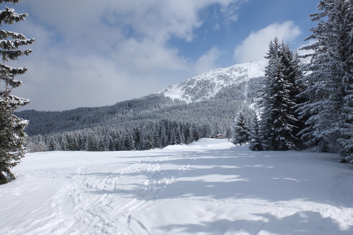 รูปถ่าย ฝรั่งเศส(France) เลทรัววาเล(Les 3 Vallees) 2013-03 304