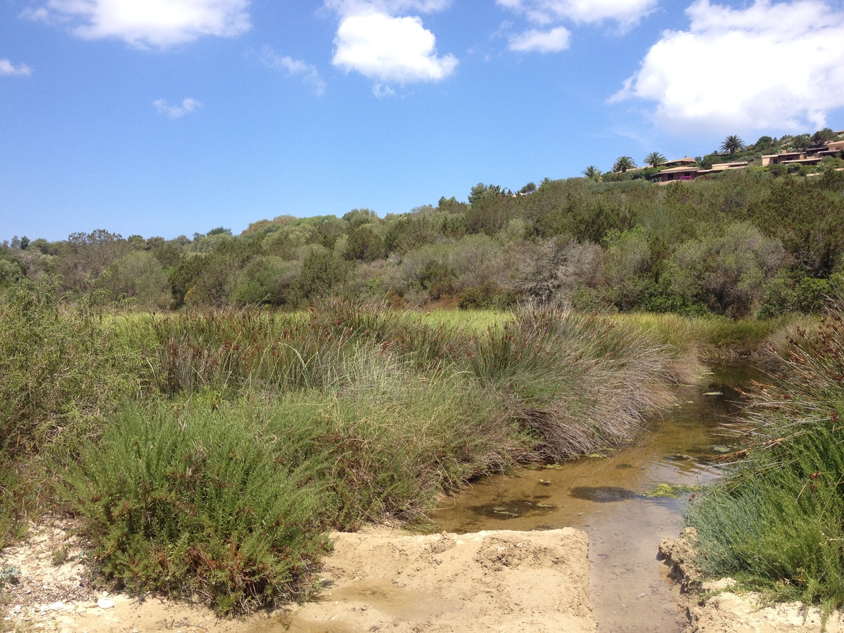 รูปถ่าย อิตาลี(Italy) ซาร์ดิเนีย(Sardinia) กอสตาสเมรัลดา(Costa Smeralda) 2015-06 13