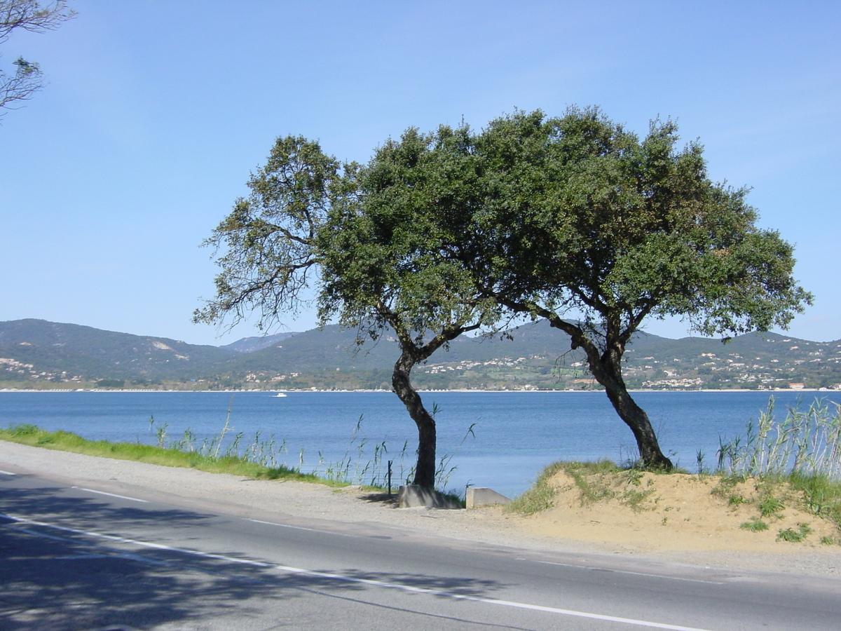 รูปถ่าย ฝรั่งเศส(France) แซ็งต์-ทรอเป(Saint Tropez) 2002-03 20