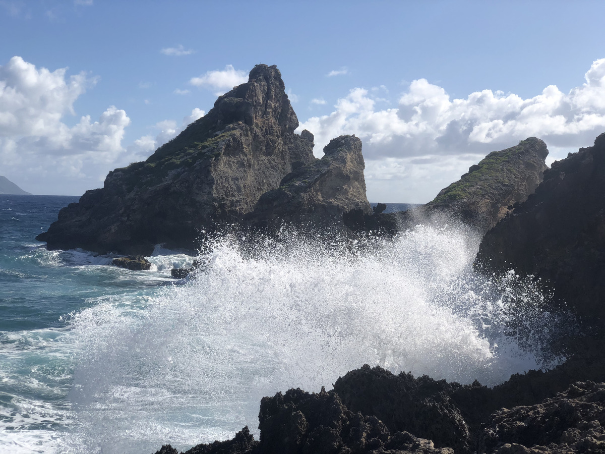 รูปถ่าย กวาเดอลูป(Guadeloupe) แหลมคาสเซิลพอยต์(Castle Point) 2021-02 261