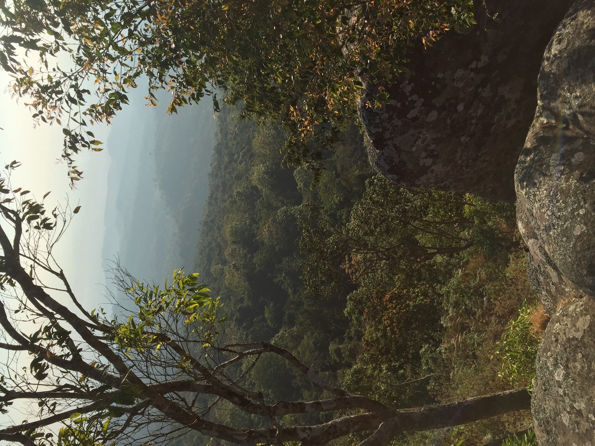 รูปถ่าย ไทย(Thailand) อุทยานแห่งชาติภูหินร่องกล้า(Phu Hin Rong Kla National Park) 2014-12 390