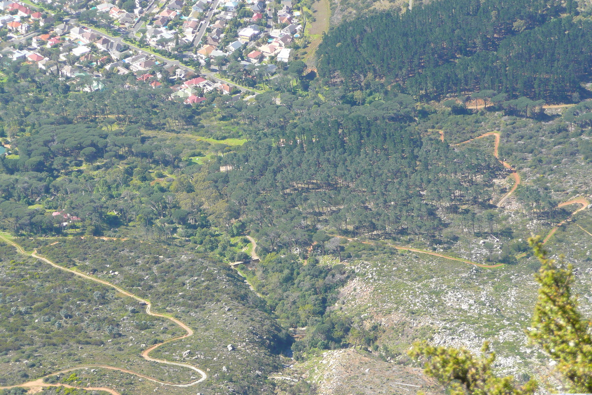 รูปถ่าย แอฟริกาใต้(South Africa) เคปทาวน์(Cape Town) ภูเขาเทเบิล(Table Mountain) 2008-09 51