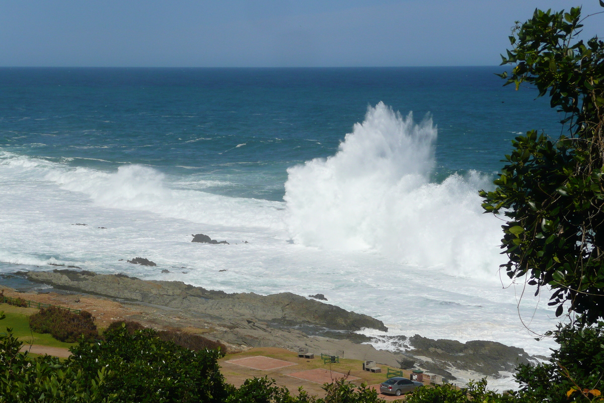 รูปถ่าย แอฟริกาใต้(South Africa) อุทยานแห่งชาติซิตซิคัมมา(Tsitsikamma National Park) 2008-09 15