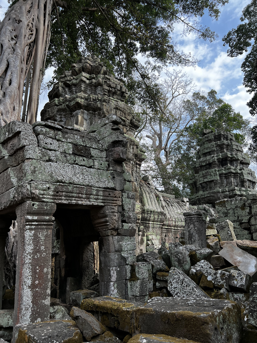 รูปถ่าย กัมพูชา(Cambodia) เสียมราฐ(Siem Reap) ปราสาทตาพรหม(Ta Prohm) 2023-01 119