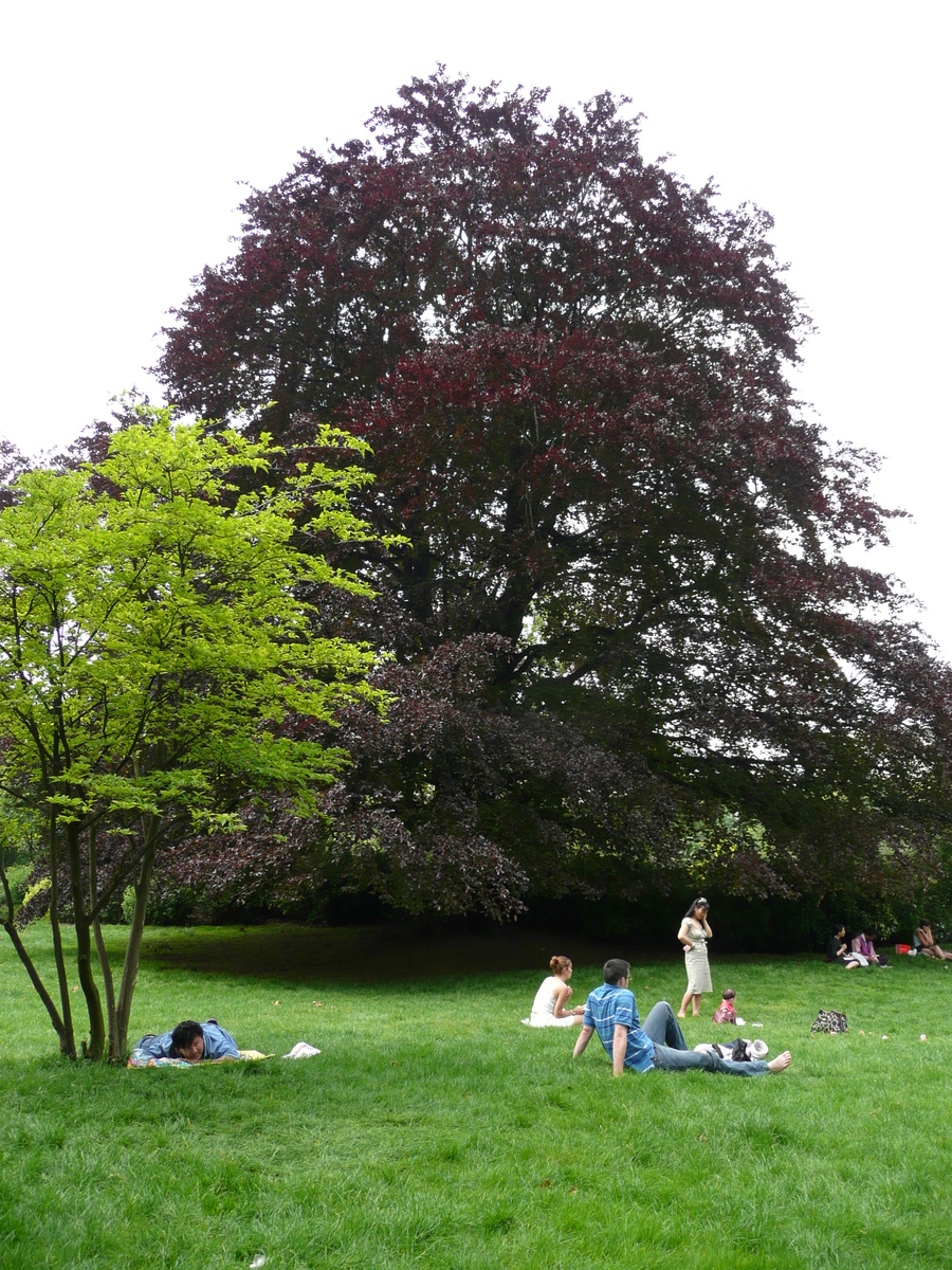 รูปถ่าย ฝรั่งเศส(France) ปารีส(Paris) สวนมงโซ(Monceau Garden) 2007-06 3