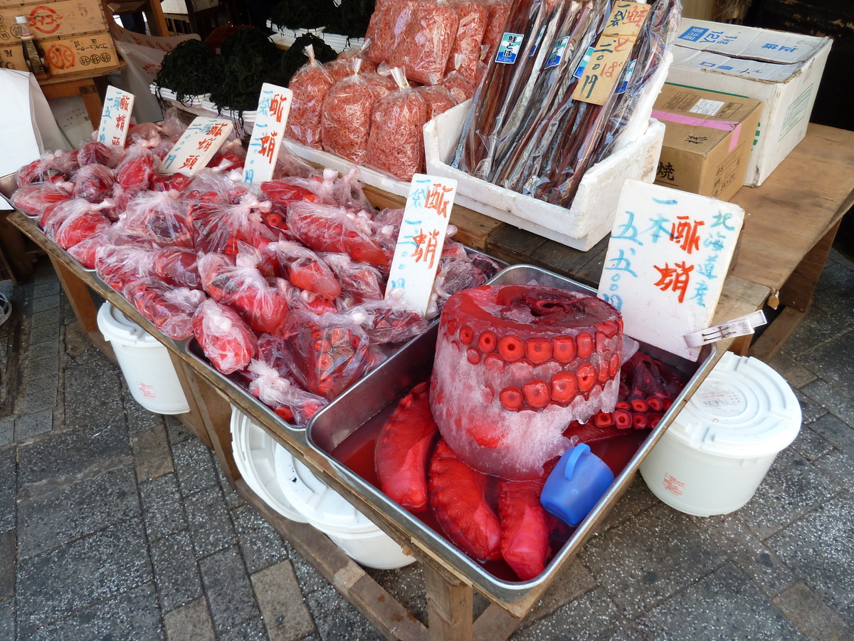 รูปถ่าย ญี่ปุ่น(Japan) โตเกียว(Tokyo) อุเอโนะ(Ueno) 2010-06 1
