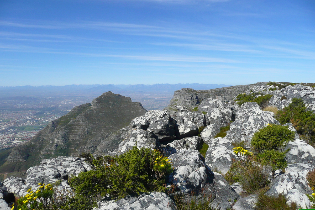 รูปถ่าย แอฟริกาใต้(South Africa) เคปทาวน์(Cape Town) ภูเขาเทเบิล(Table Mountain) 2008-09 61