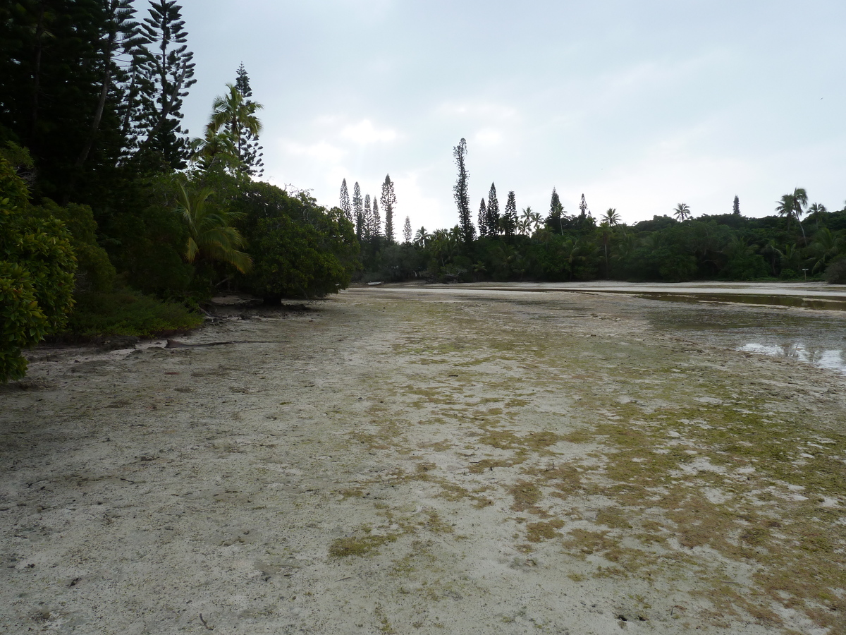 รูปถ่าย นิวแคลิโดเนีย(New Caledonia) เกาะต้นสน(Ile des pins) อ่าวโอโร(Oro Bay) 2010-05 86