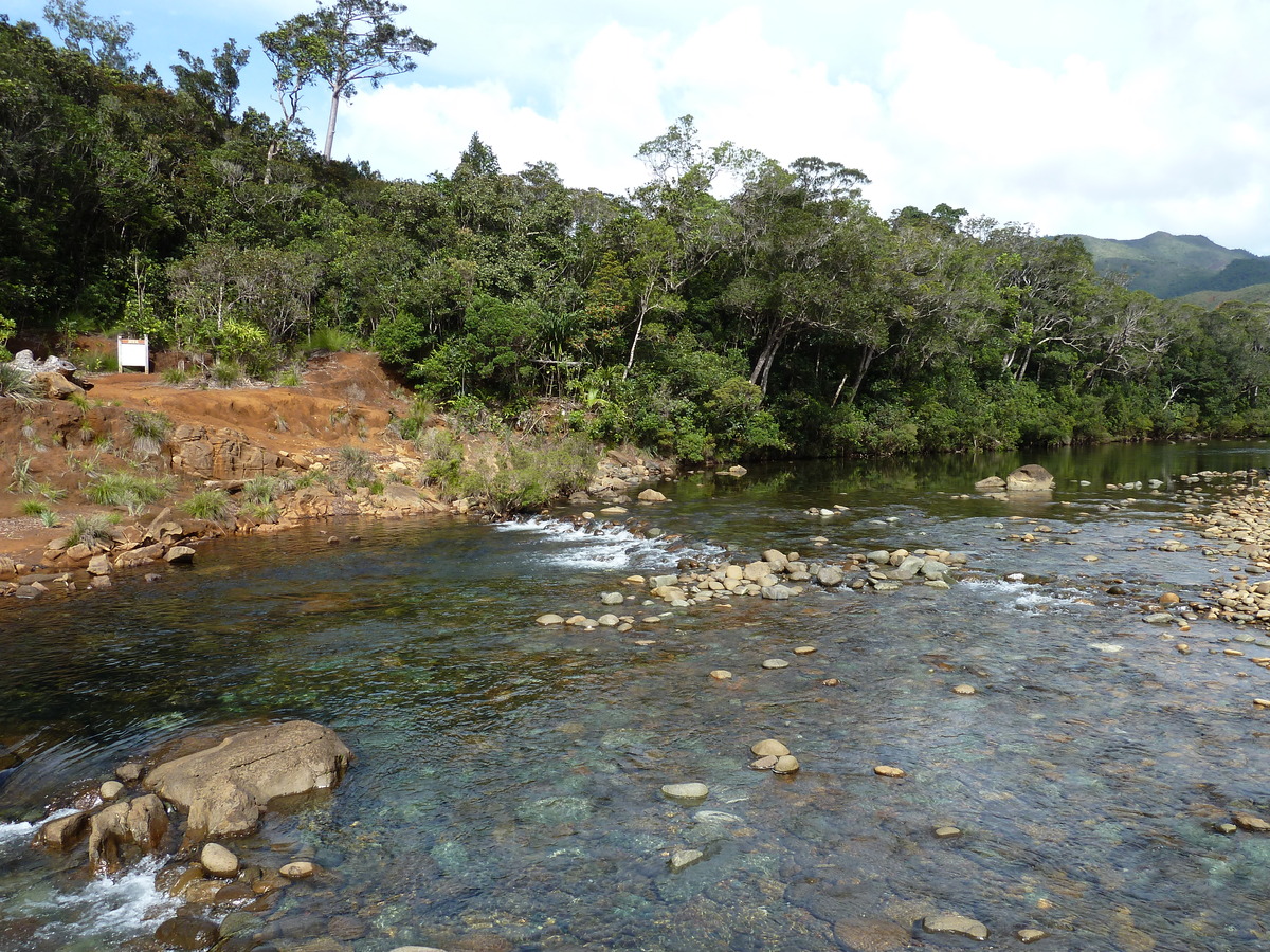 รูปถ่าย นิวแคลิโดเนีย(New Caledonia) อุทยานริเวียร์เบลอ(Parc de la Riviere Bleue) 2010-05 145