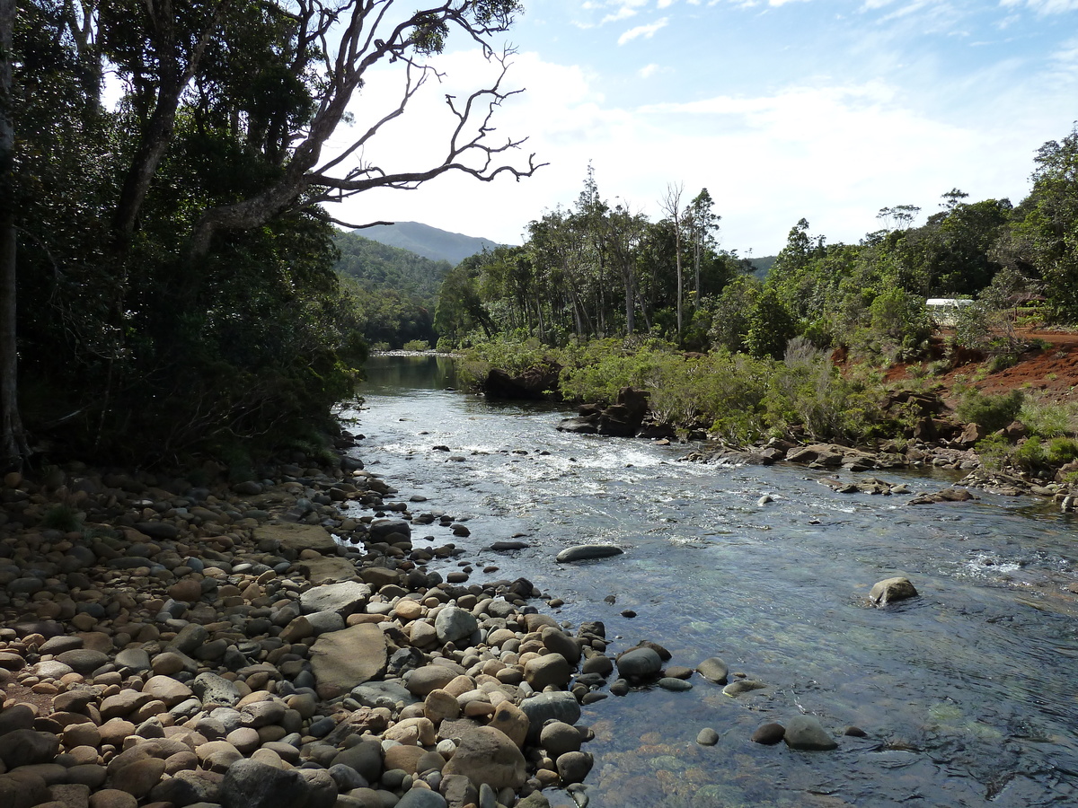 รูปถ่าย นิวแคลิโดเนีย(New Caledonia) อุทยานริเวียร์เบลอ(Parc de la Riviere Bleue) 2010-05 152