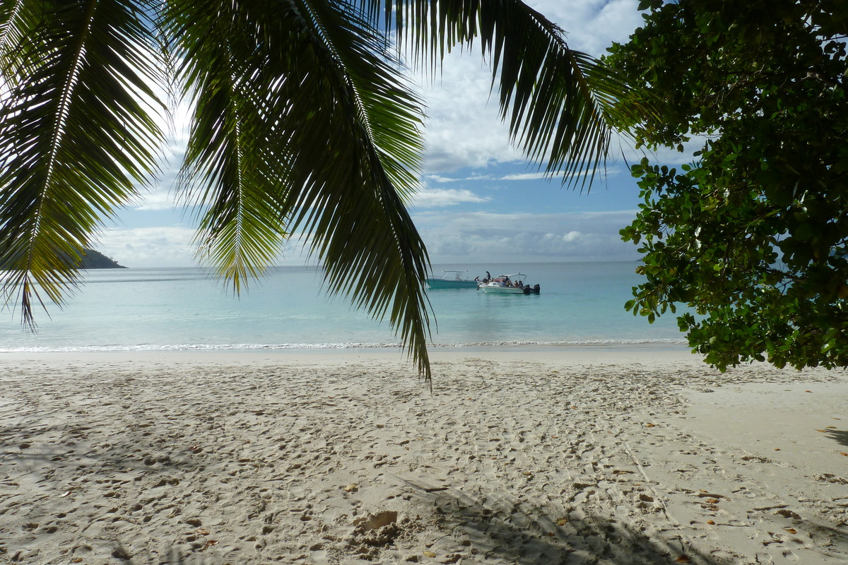 รูปถ่าย เซเชลส์(Seychelles) อ่าวอ็องส์ลาซิโอ(Anse Lazio) 2011-10 80