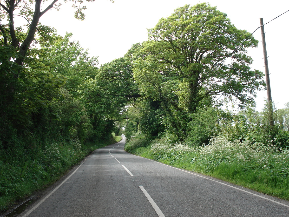 รูปถ่าย อังกฤษ(United Kingdom) เปมโบรคเชอร์(Pembrokeshire) 2006-05 16