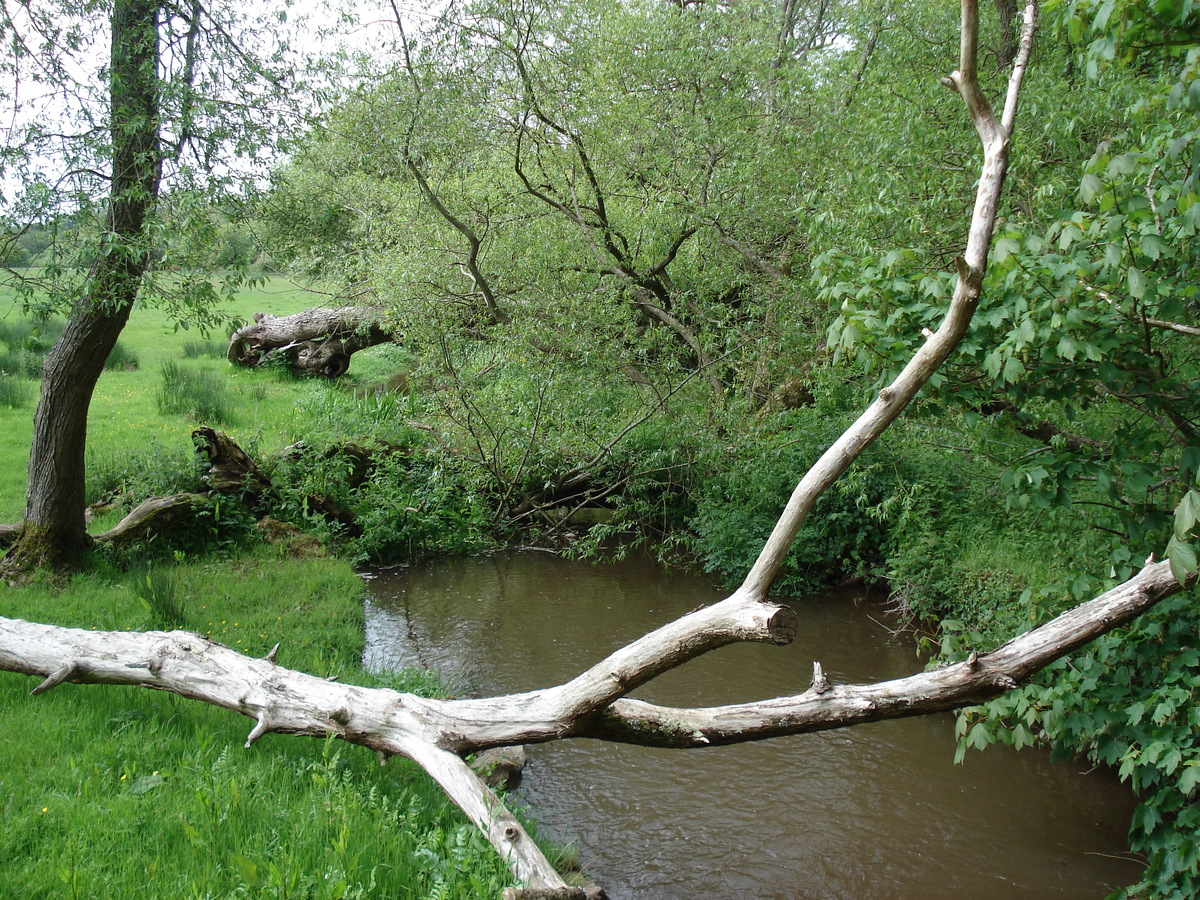 รูปถ่าย อังกฤษ(United Kingdom) เปมโบรคเชอร์(Pembrokeshire) แลมปลี(Lamphey) 2006-05 12
