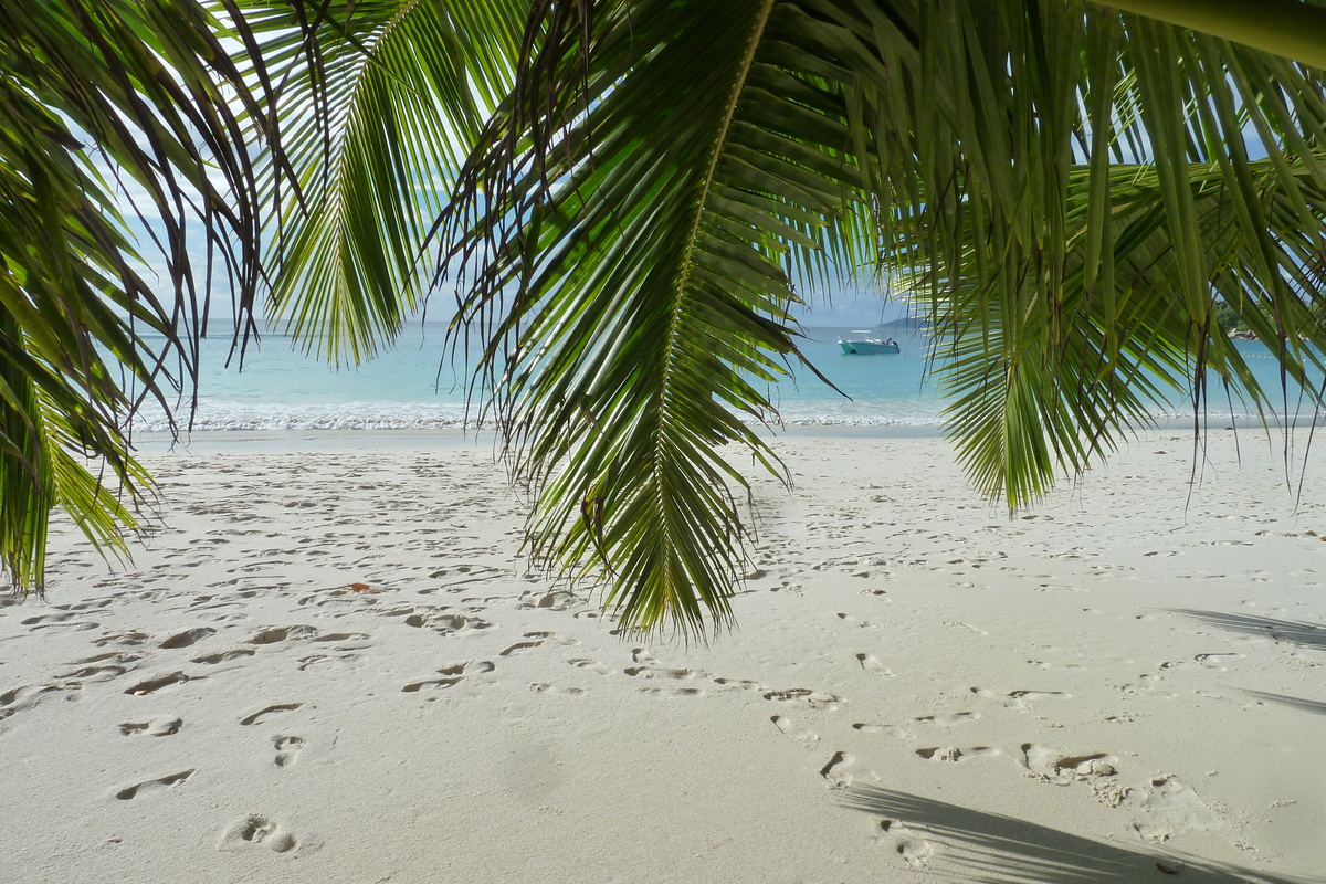 รูปถ่าย เซเชลส์(Seychelles) อ่าวอ็องส์ลาซิโอ(Anse Lazio) 2011-10 124