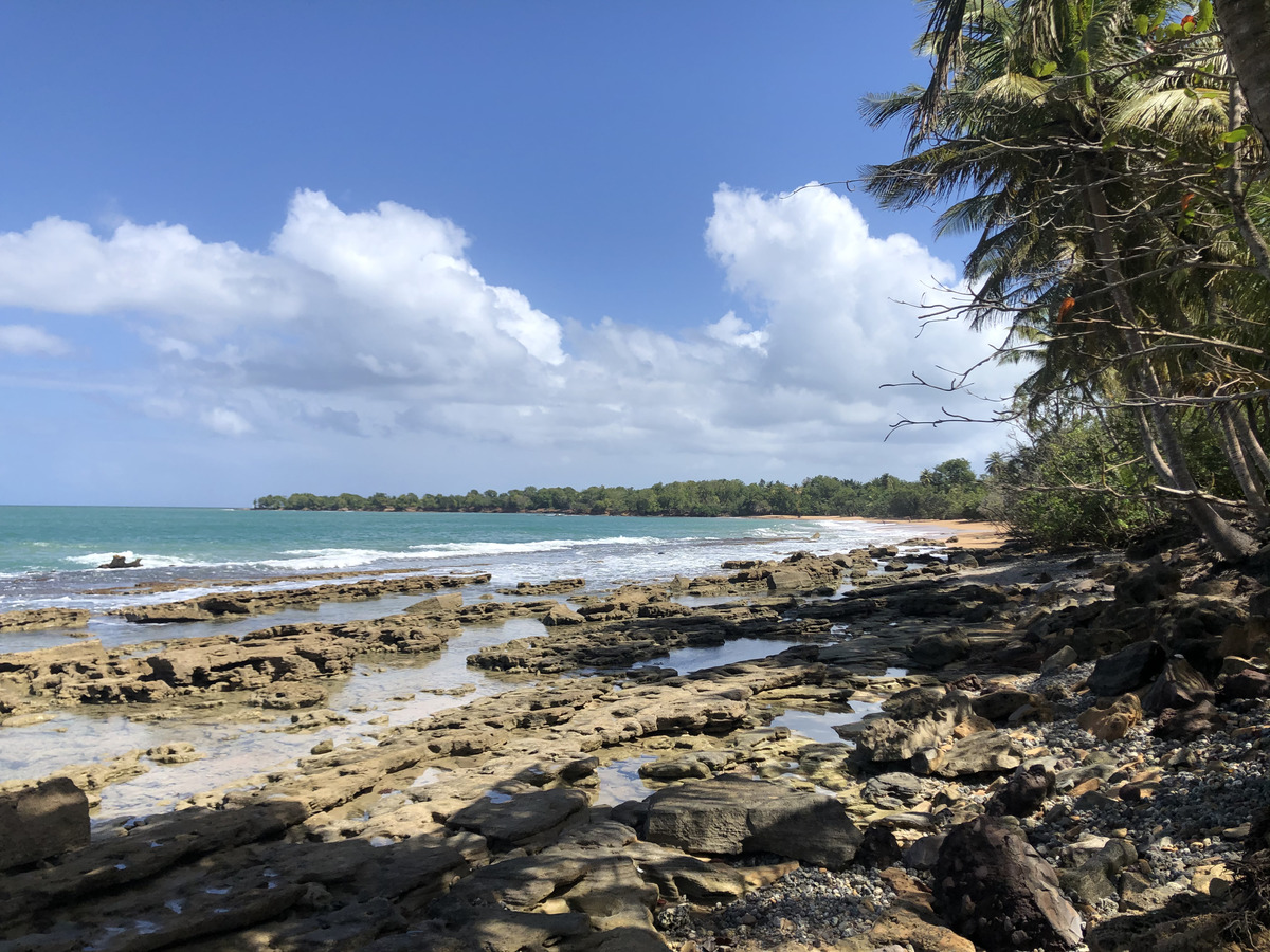 รูปถ่าย กวาเดอลูป(Guadeloupe) หาดกลูญี(Clugny Beach) 2021-02 7
