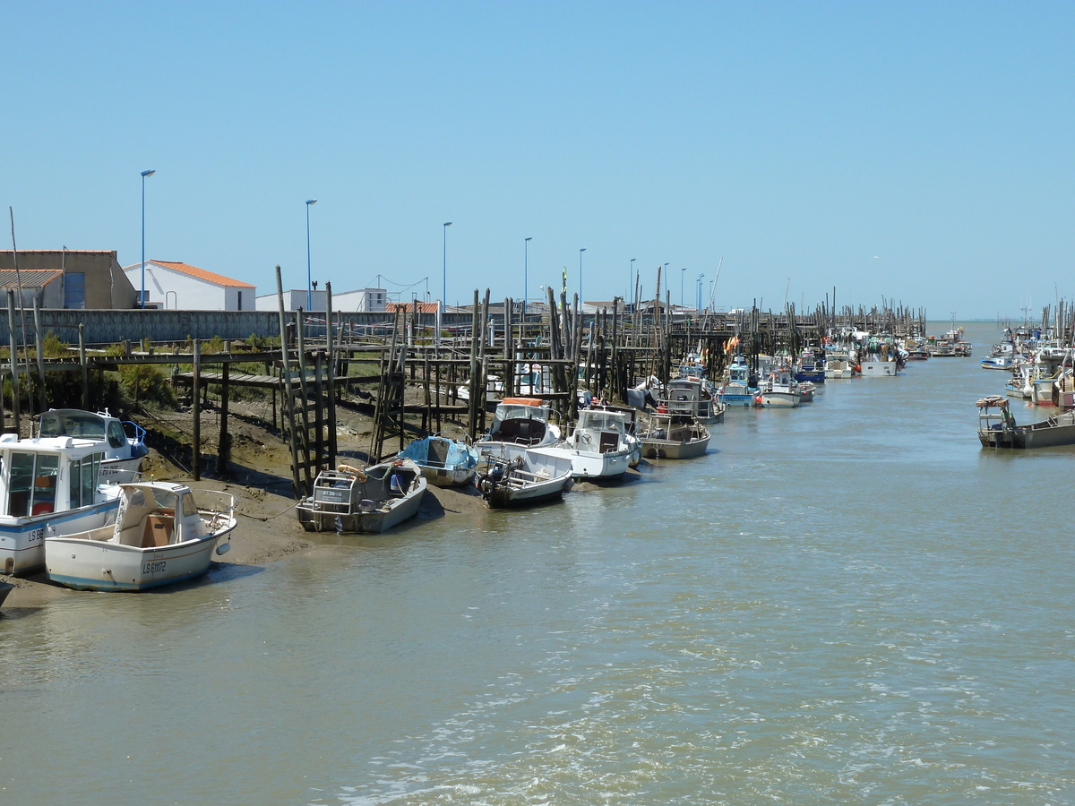 รูปถ่าย ฝรั่งเศส(France) นีวร์มูทีเย(Noirmoutier) 2010-07 22