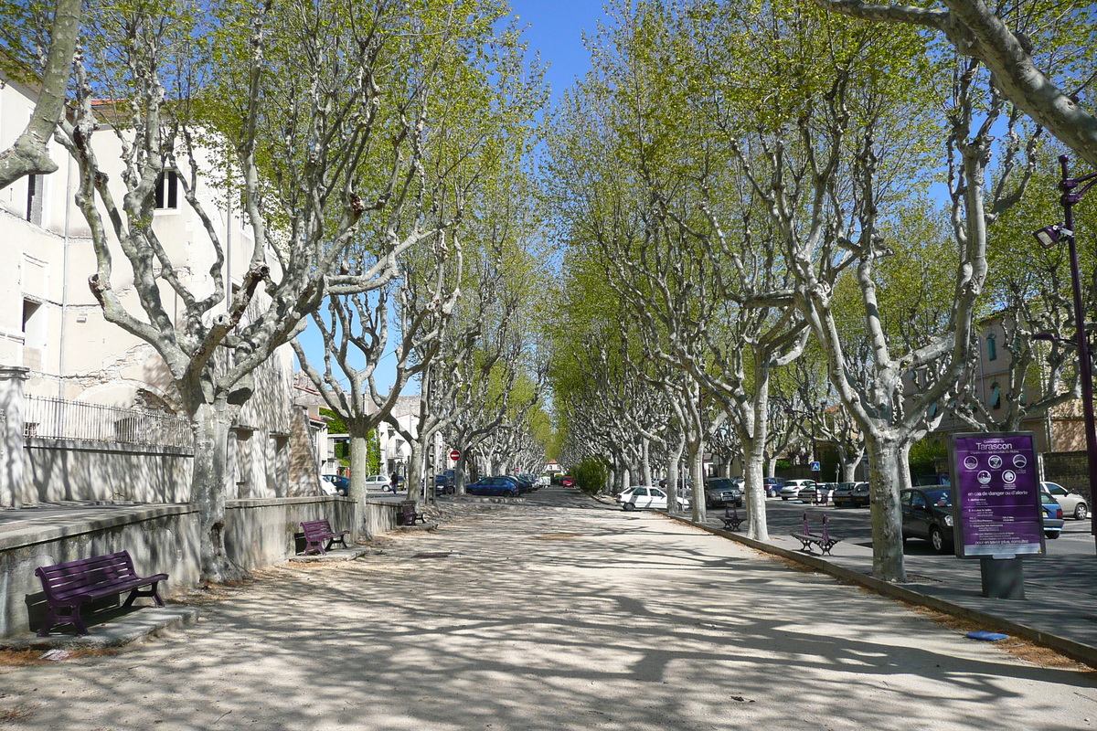 รูปถ่าย ฝรั่งเศส(France) ตาราสกง(Tarascon) 2008-04 56