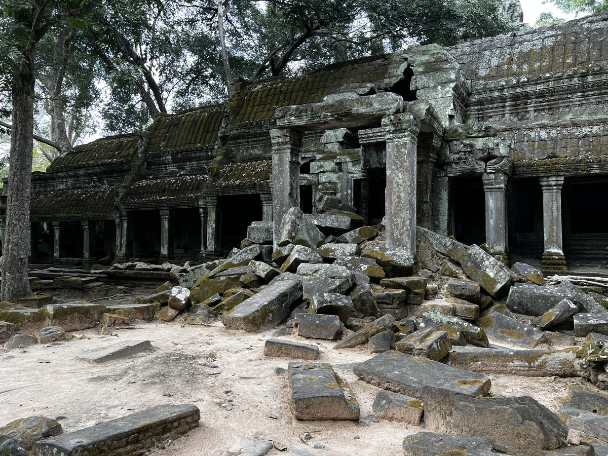 รูปถ่าย กัมพูชา(Cambodia) เสียมราฐ(Siem Reap) ปราสาทตาพรหม(Ta Prohm) 2023-01 82