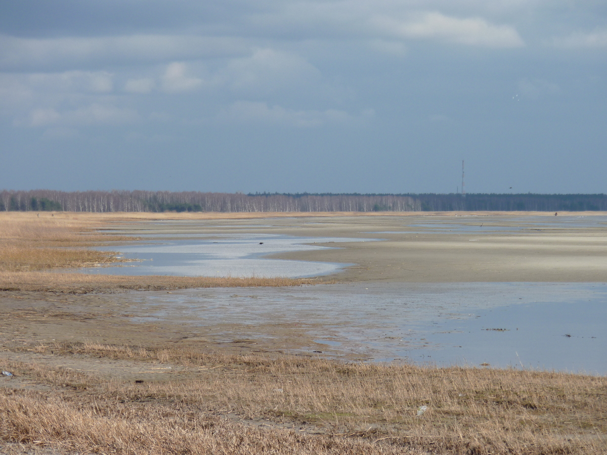 รูปถ่าย เอสโตเนีย(Estonia) แพร์นู(Parnu) 2009-04 4