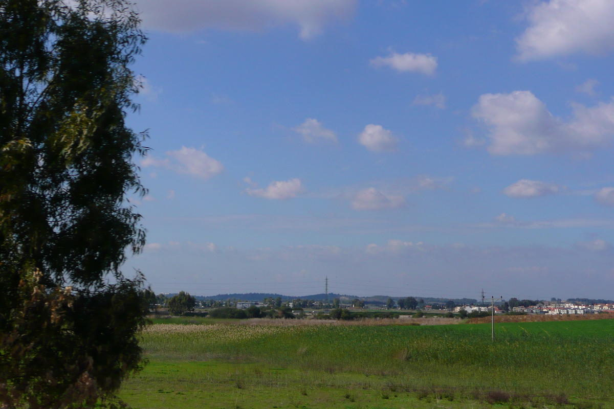 รูปถ่าย อิสราเอล(Israel) ถนนจากเทลอาวีฟไปเบเออร์เชบา(Tel Aviv to Beer Sheva road) 2007-12 42