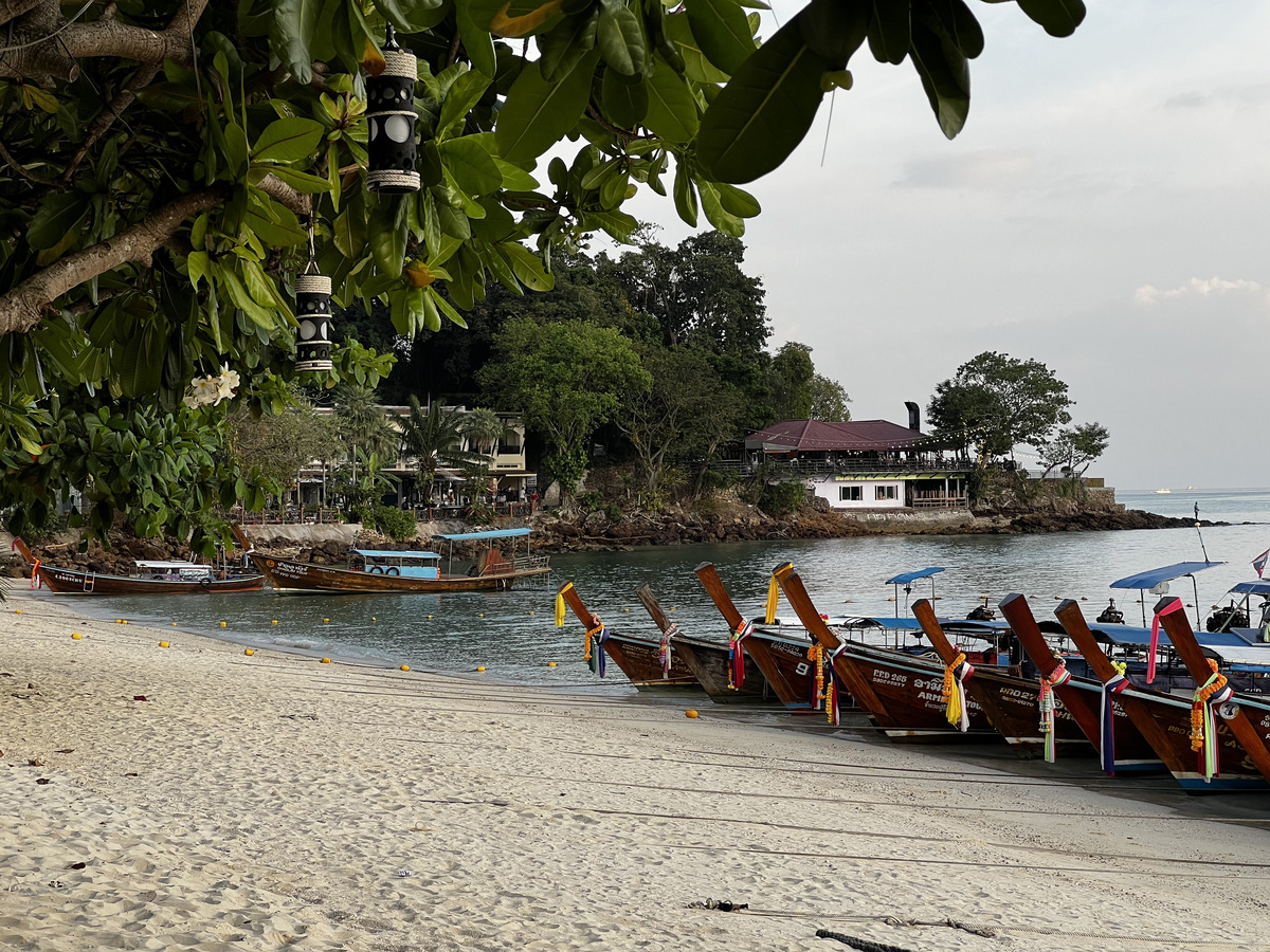 รูปถ่าย ไทย(Thailand) เกาะพีพีดอน(Ko Phi Phi Don) 2021-12 114