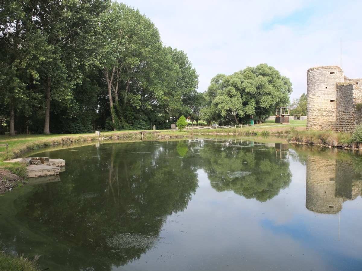 รูปถ่าย ฝรั่งเศส(France) กอมเมอกีเย(Commequiers) 2012-07 12