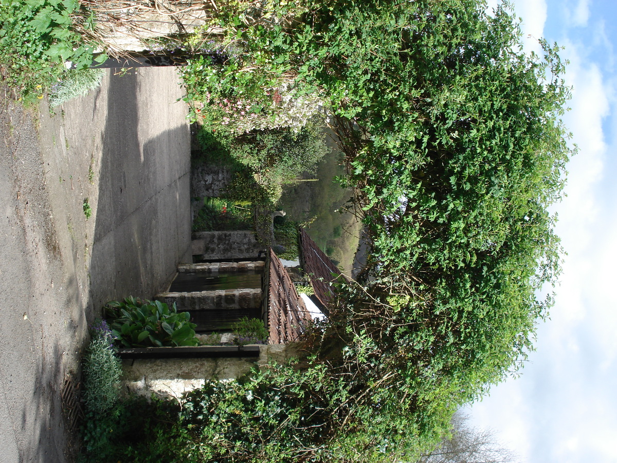 รูปถ่าย อังกฤษ(United Kingdom) หุบเขาไวย์(Wye Valley) 2006-05 54