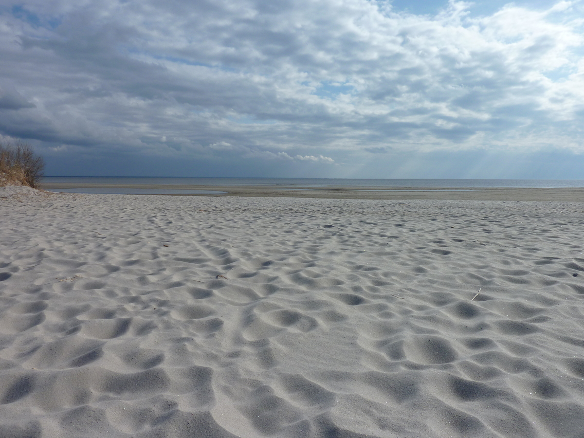 รูปถ่าย เอสโตเนีย(Estonia) แพร์นู(Parnu) 2009-04 10