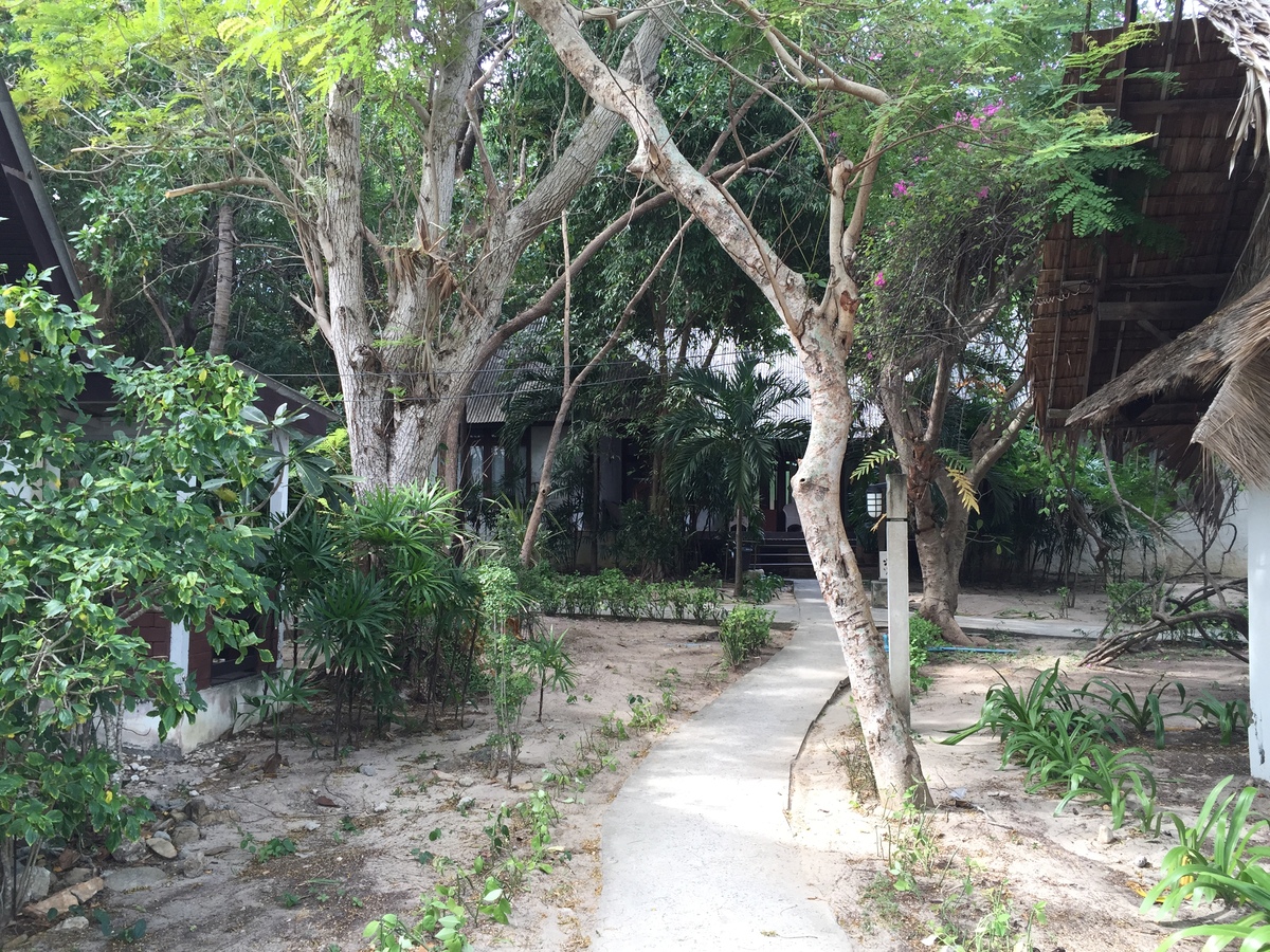 รูปถ่าย ไทย(Thailand) เกาะเสม็ด(Ko Samet) 2014-12 39