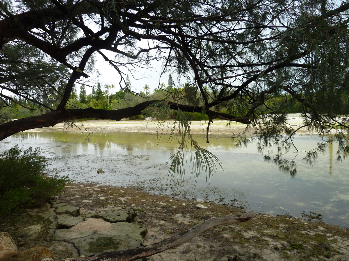 รูปถ่าย นิวแคลิโดเนีย(New Caledonia) เกาะต้นสน(Ile des pins) อ่าวโอโร(Oro Bay) 2010-05 106