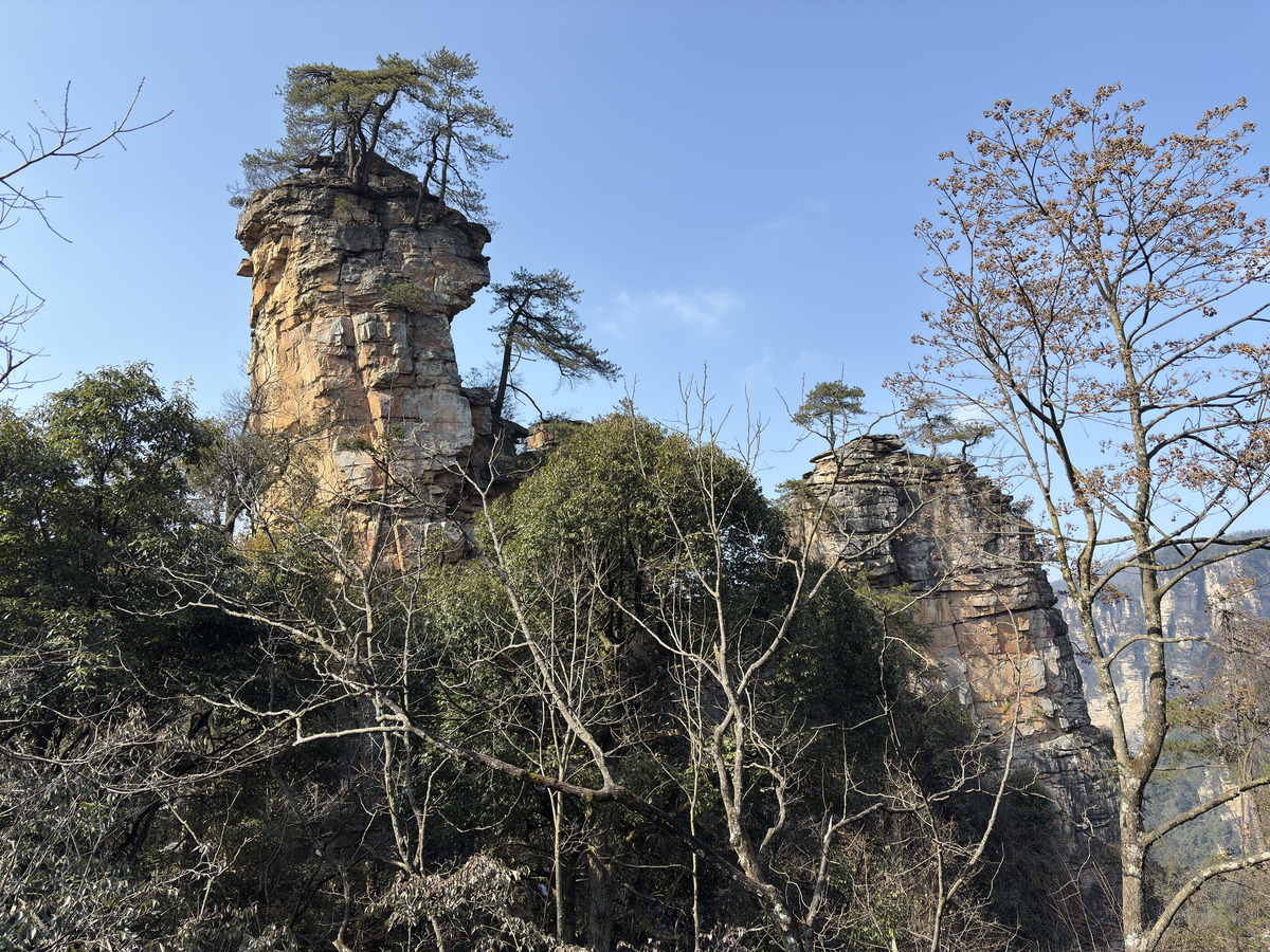 รูปถ่าย จีน(China) จางเจียเจี้ย(Zhangjiajie) ภูเขาเทียนจื่อ(Tianzi Mountain) 2026-01 309