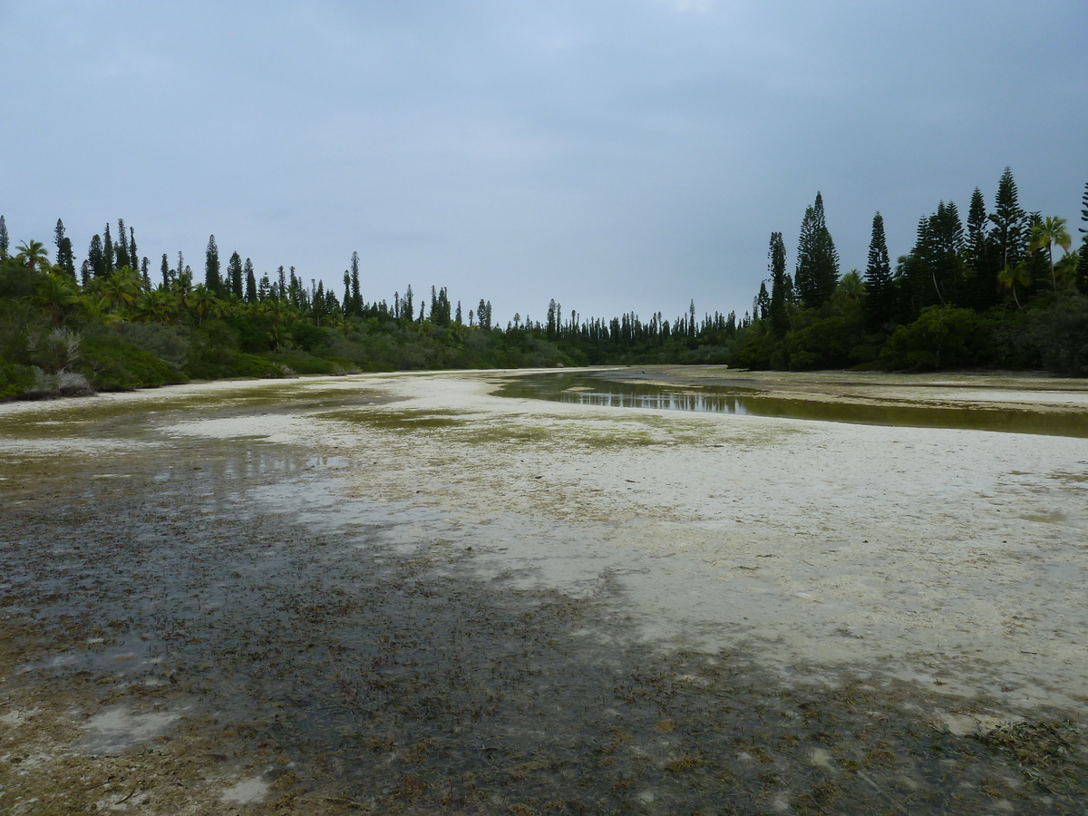 รูปถ่าย นิวแคลิโดเนีย(New Caledonia) เกาะต้นสน(Ile des pins) อ่าวโอโร(Oro Bay) 2010-05 14
